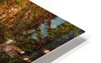 Hawk Falls in Autumn Creekside View HD Metal print