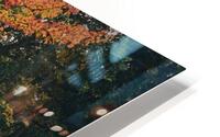 Burst of Color HD Metal print