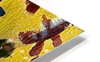 Cross section of men HD Metal print