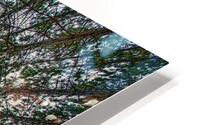 02 Look Up HD Metal print
