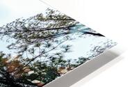 Fall Rhapsody HD Metal print