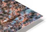 Snowy landscape at sunset in Lapland HD Metal print