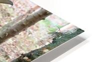 Moo I HD Metal print