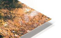 Buttermilk Falls and DL Trail in Autumn HD Metal print
