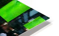 The green room HD Metal print