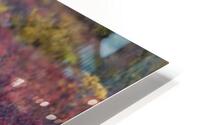 Denali Bear in Red Heather HD Metal print