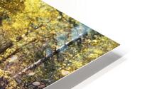 Golden Reverie HD Metal print