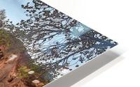 life is like a river HD Metal print