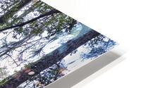 SECRET PLACE - THRU THE TREES_Holt_RezN888 HD Metal print