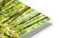 Rustic Fence HD Metal print