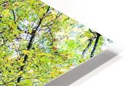 RockyTrail HD Metal print