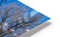 Facade of iconic University Hall on the Oval at OSU in Columbus  HD Metal print