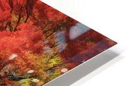 UNBELIEVABLE FOREST FOLIAGE HD Metal print