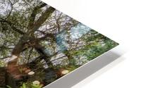the picnic HD Metal print