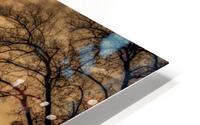 east shore evening HD Metal print