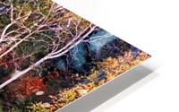 The Magical Season HD Metal print