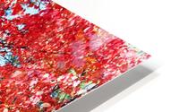 Colorful Fall Trail HD Metal print