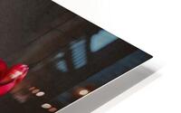 1Q8A7535 HD Metal print