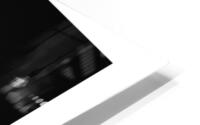 1Q8A1226 HD Metal print
