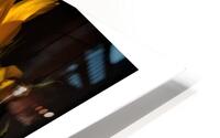 1Q8A1132 HD Metal print