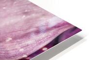 044A3800 HD Metal print