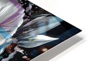 Is the picture really within the frame...  HD Metal print