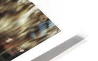 Muted Merganzer HD Metal print