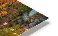 autmn daze HD Metal print