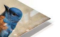 BLUEBIRDS Impression metal HD