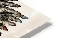 ArtX 529 eagle HD Metal print