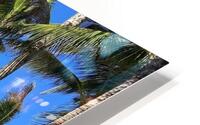 Mamas Fish House HD Metal print