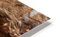The land before time HD Metal print