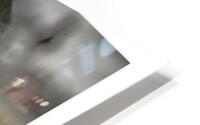 Century in a Scroll HD Metal print