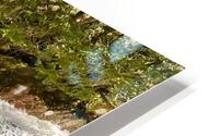 Bridge over Deception Falls HD Metal print