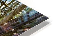 IMG 2451 HD Metal print