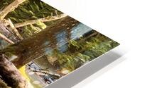 IMG 2445 HD Metal print