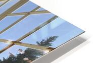 IMG 3402 HD Metal print