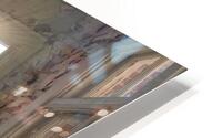 IMG 3399 HD Metal print