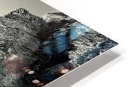 The Feathers HD Metal print