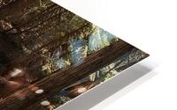 Forest Bridge HD Metal print