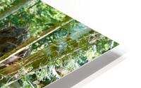 In To the Woods HD Metal print