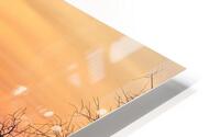 Sunset on Silica Road -2 HD Metal print