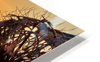 Beauty of Maui HD Metal print