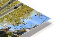 IMG 9854 HD Metal print