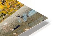 IMG 9828 HD Metal print