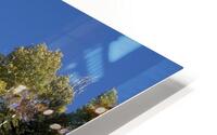 IMG 9898 HD Metal print