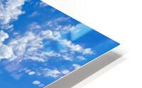 Forest of the dead HD Metal print