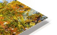 IMG 0350 HD Metal print