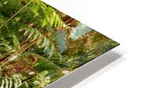 Forest Mushrooms with Ferns HD Metal print