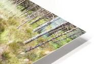 Scottish Highlands Springs Stream                                                                                                                      HD Metal print